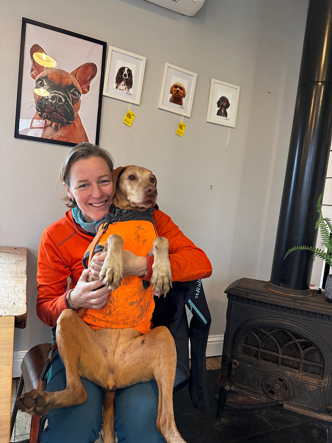 Why Dogs Struggle to Settle on Hard Floors
