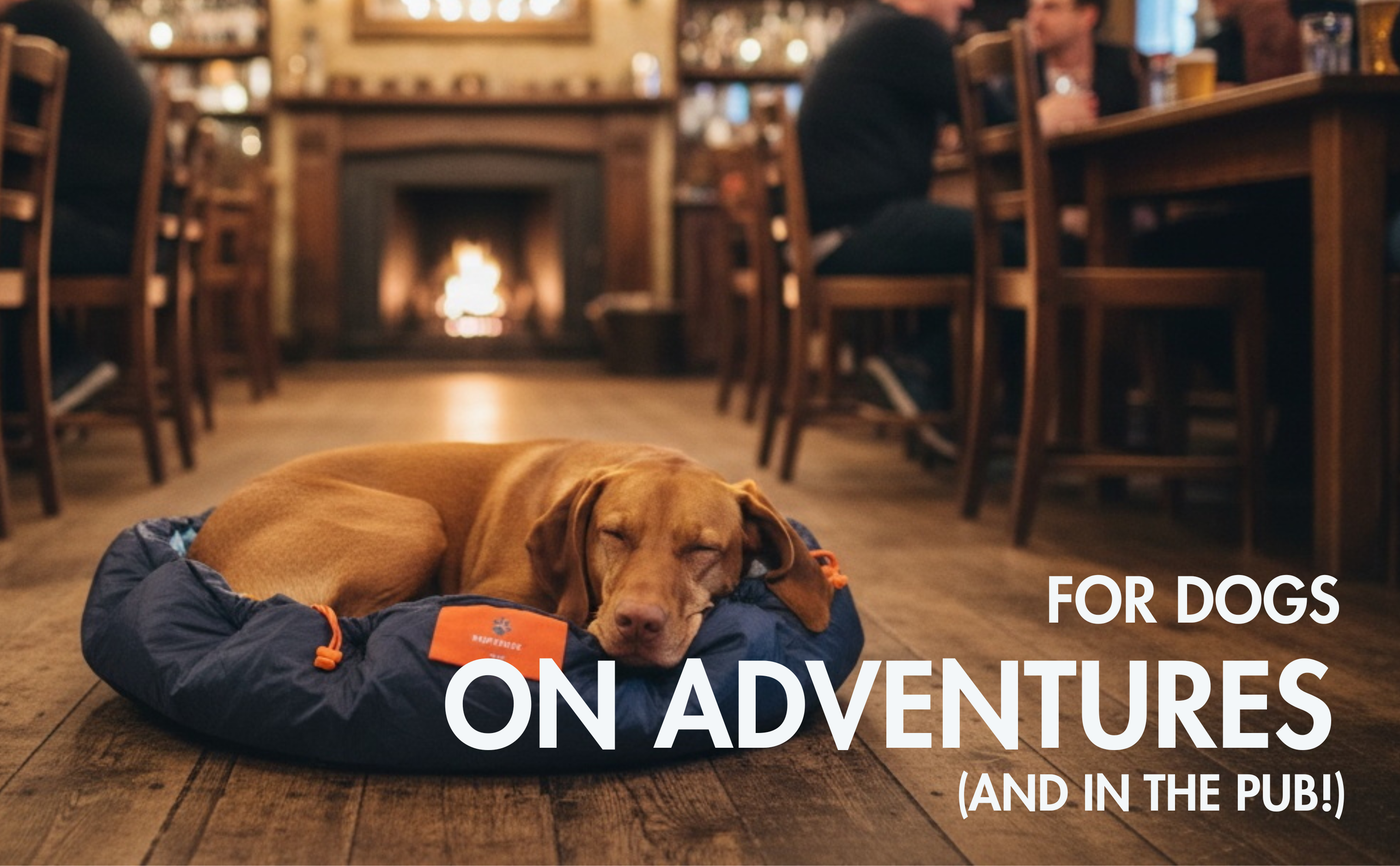 A hungarian vizsla curled up in a bar in the nestbedz bed 
