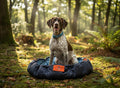 LIMITED EDITION | The Adventure Pack | Medium