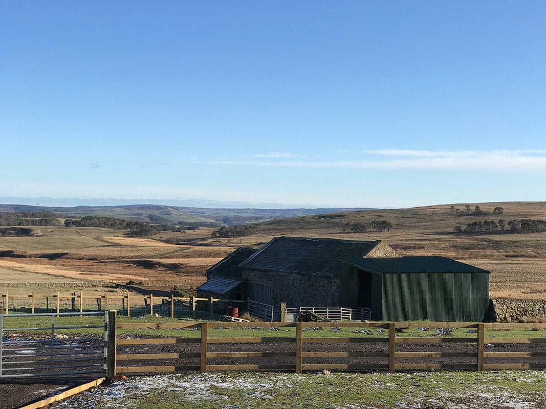 Cuckoo Cottage